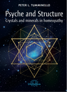 front cover of Psyche and Structure